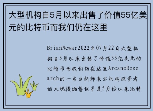 大型机构自5月以来出售了价值55亿美元的比特币而我们仍在这里 